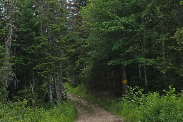 Caledonia Mountain