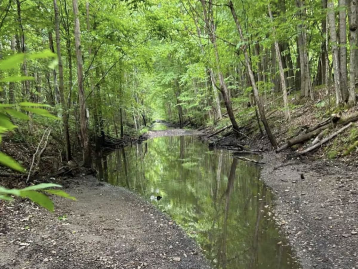 North Lawrence to Brushton photo 5