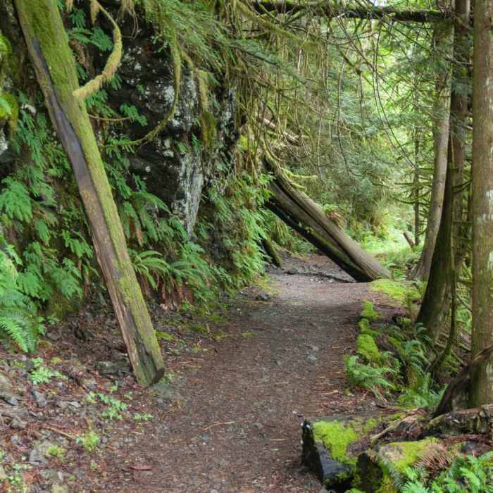 Near Boulder River Trail