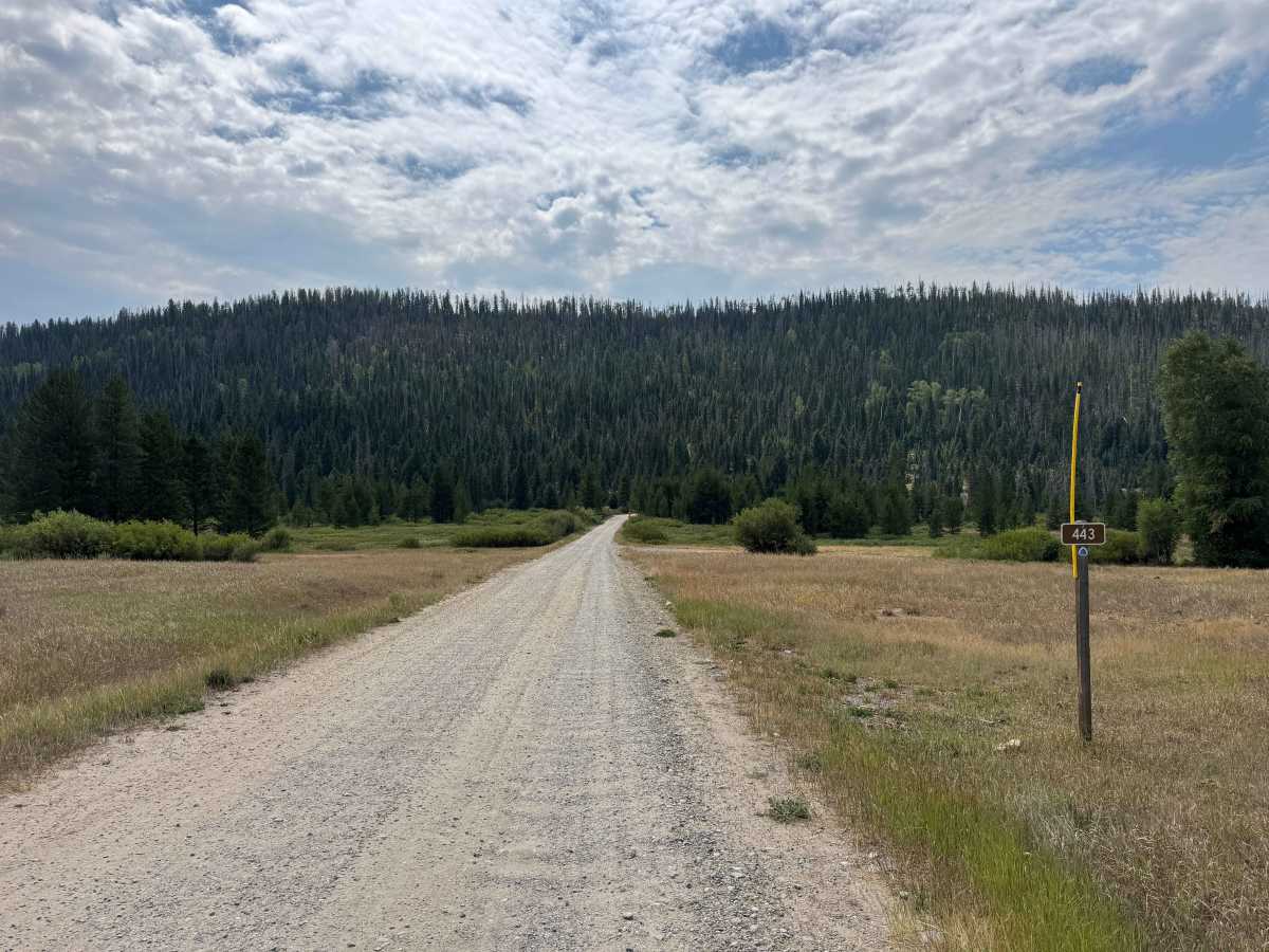 South Elk River Road photo 2