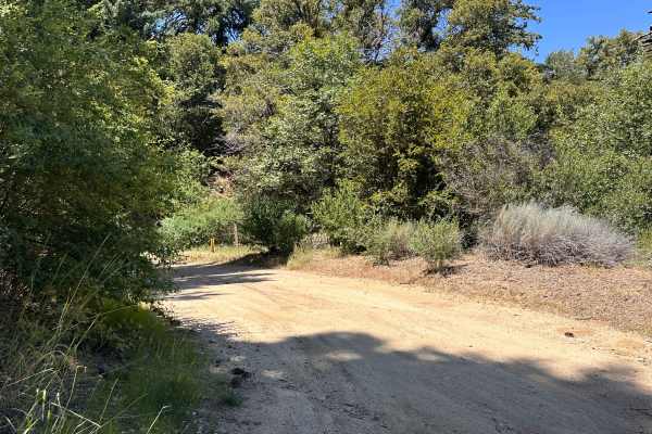 Firebreak Trail