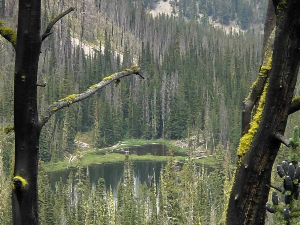 4th of July Trail photo 6