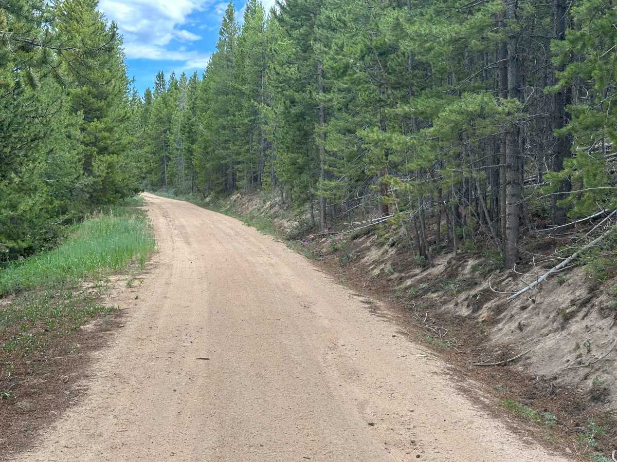 BLM Route 2764 photo 2