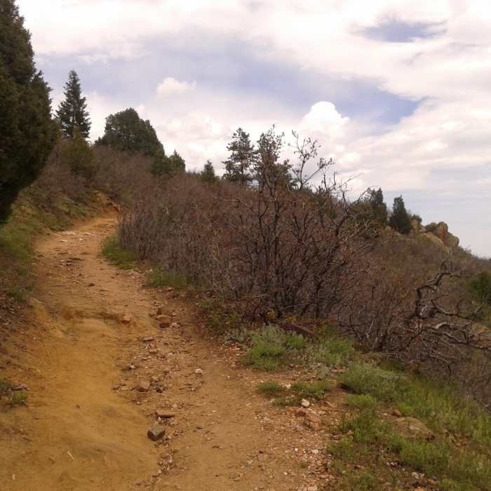 Near Red Mesa Loop