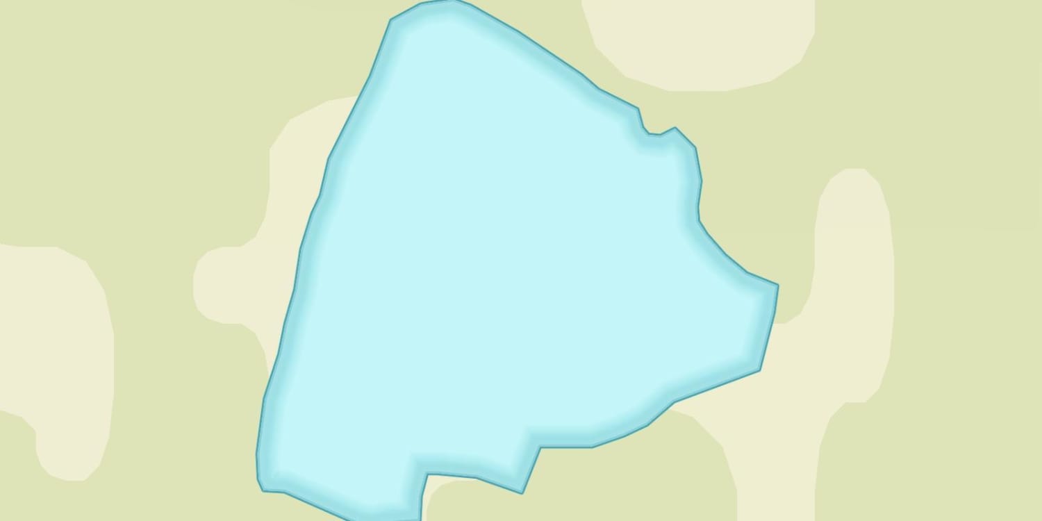 Unnamed (Schielin)