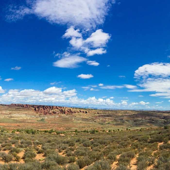 Near Fiery Furnace Viewpoint Spur