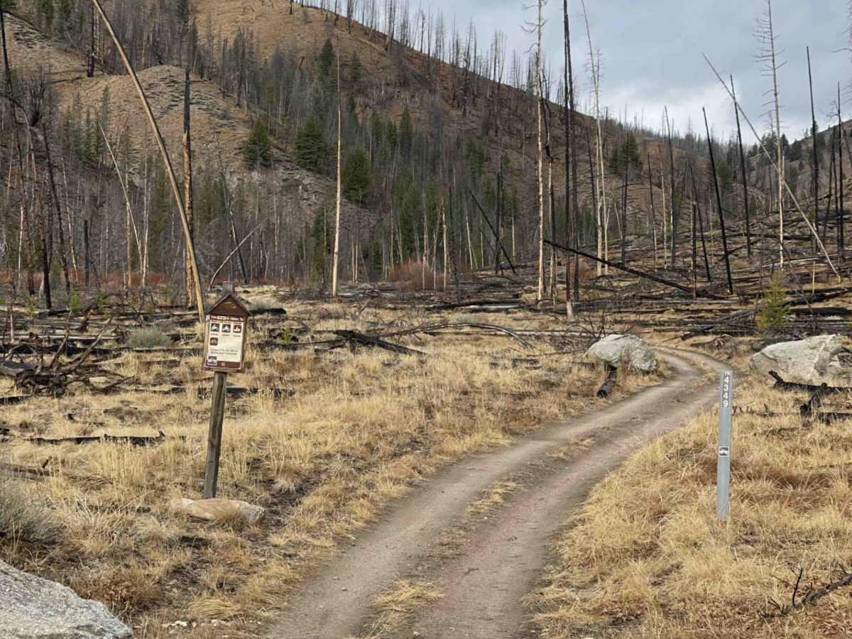Basin Creek photo 3