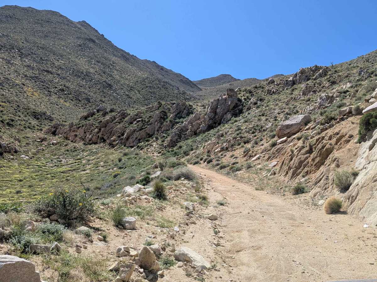 BLM 116 photo 3