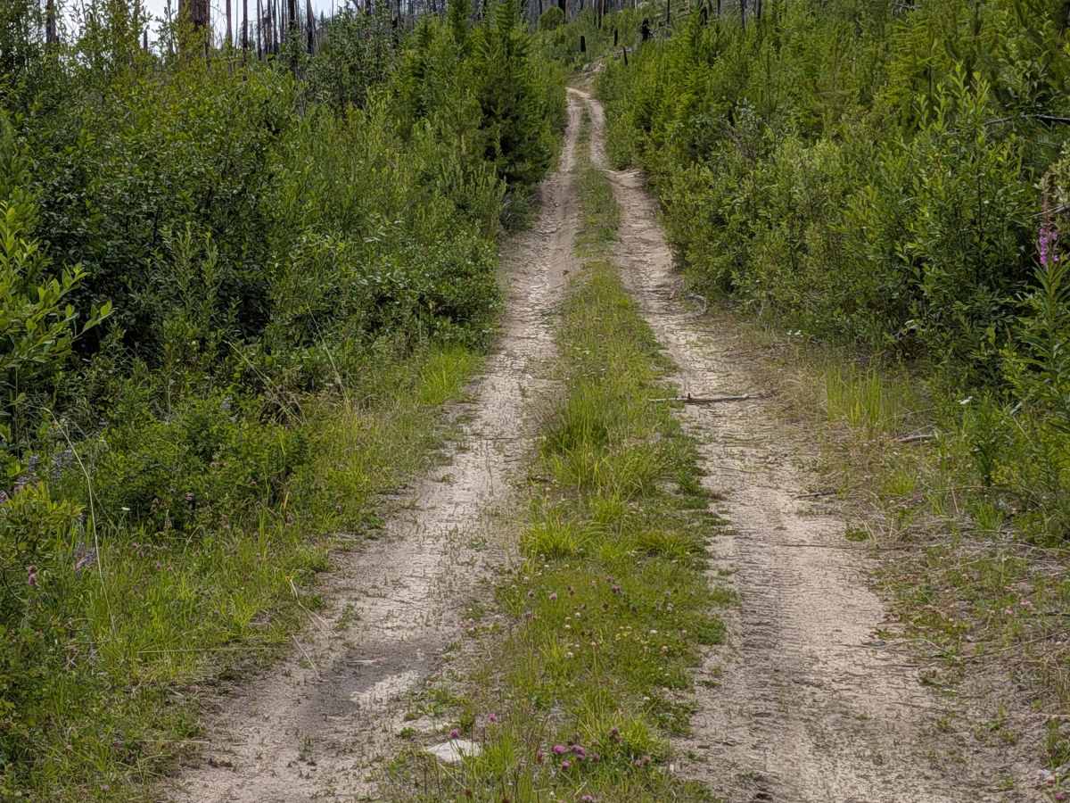 De Pue Creek Road photo 4