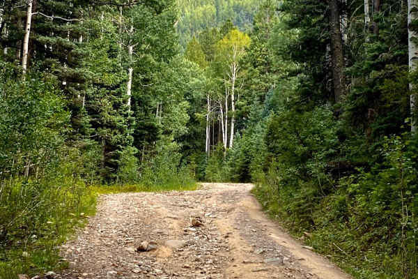 Quartz Meadow Rd #684