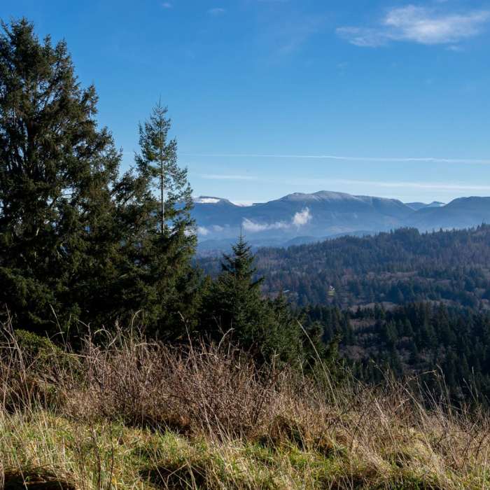 Near God's Thumb Loop