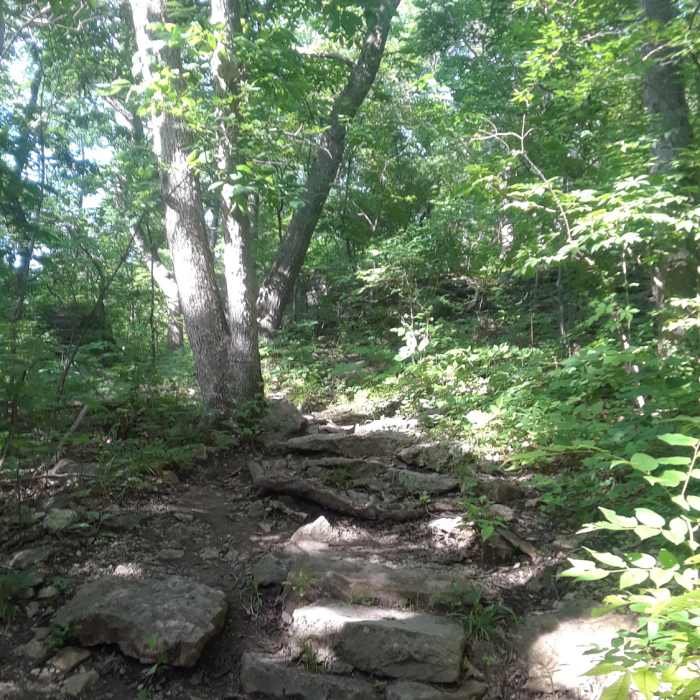 Near Burr Oak Woods Dumbell Loop