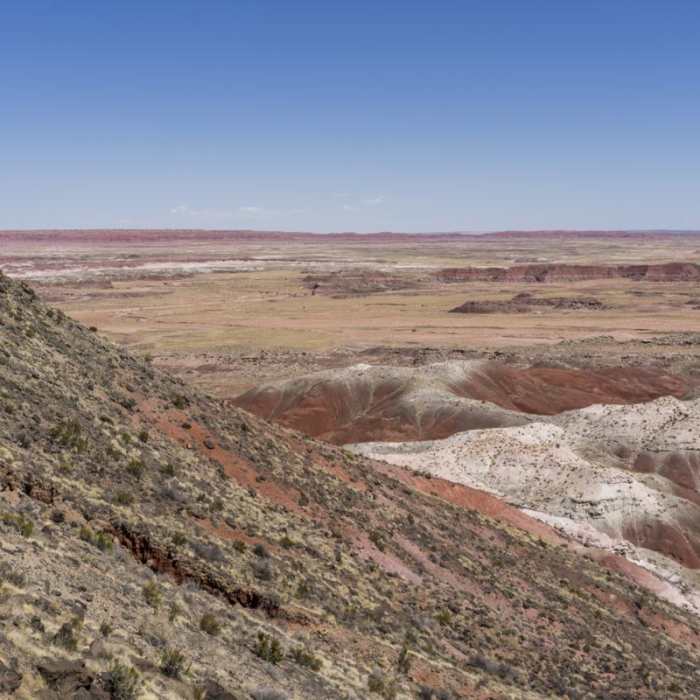 Near Painted Desert Rim Trail Near Painted Desert Rim Trail