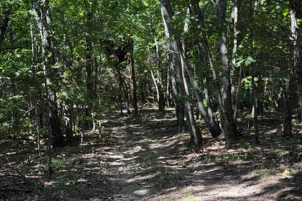 Heinke Hills 