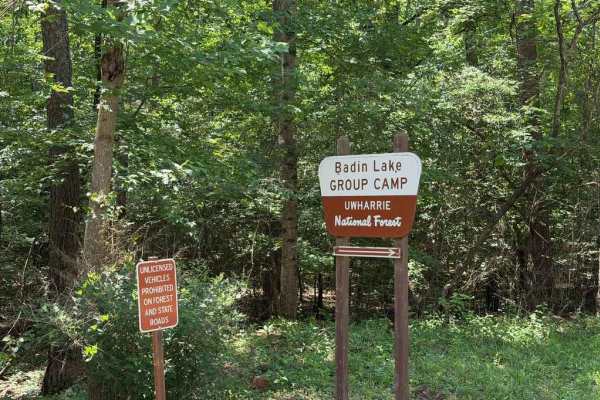 Kings Mountain Road - FS 597A