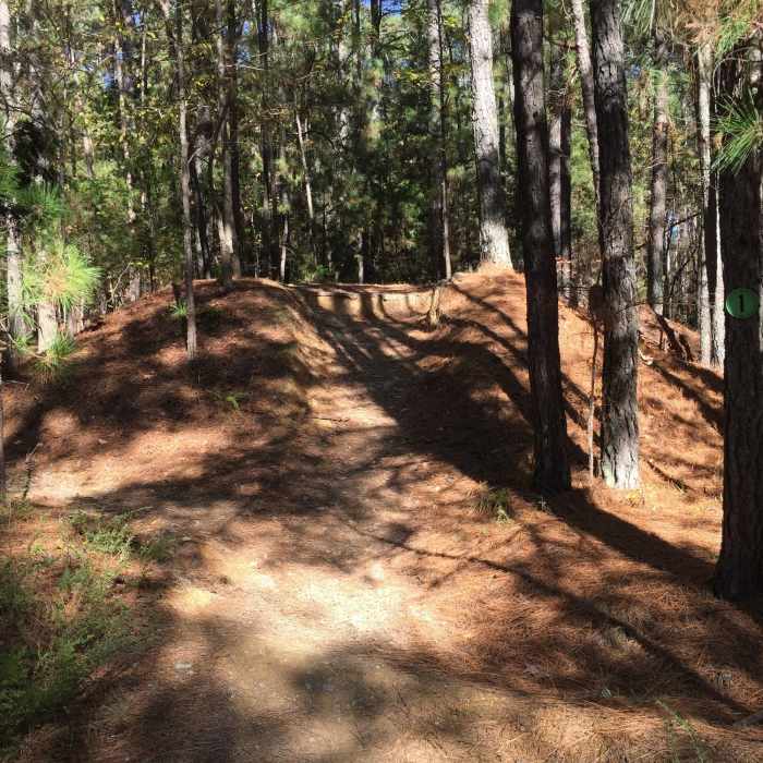 Near Neverland's Inner Loop