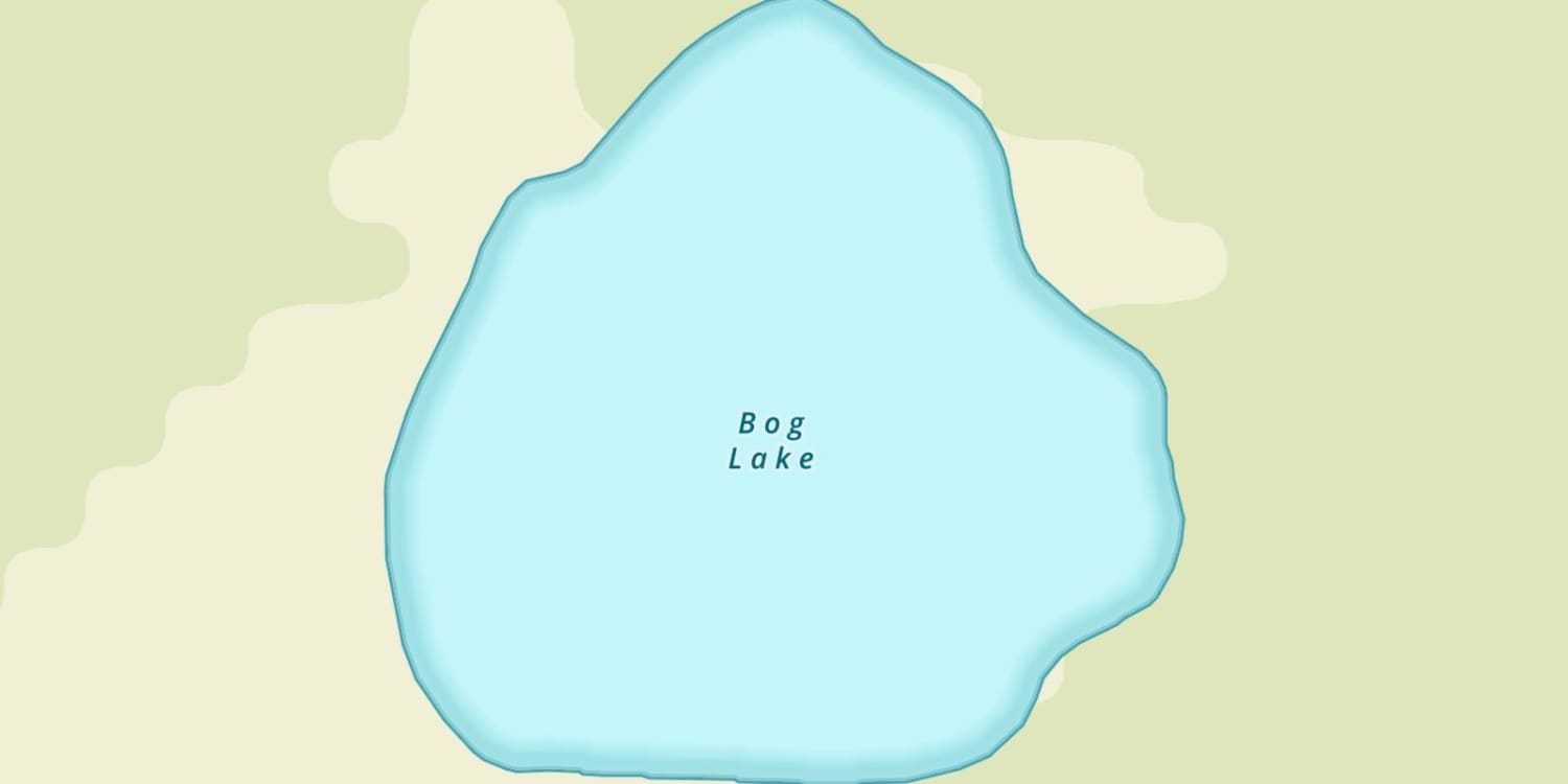 Bog Lake