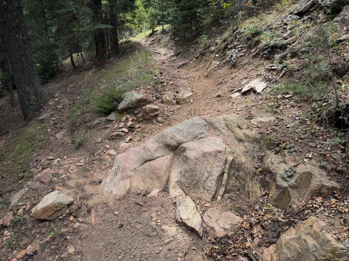 Lion Canyon Trail 1329  photo 2