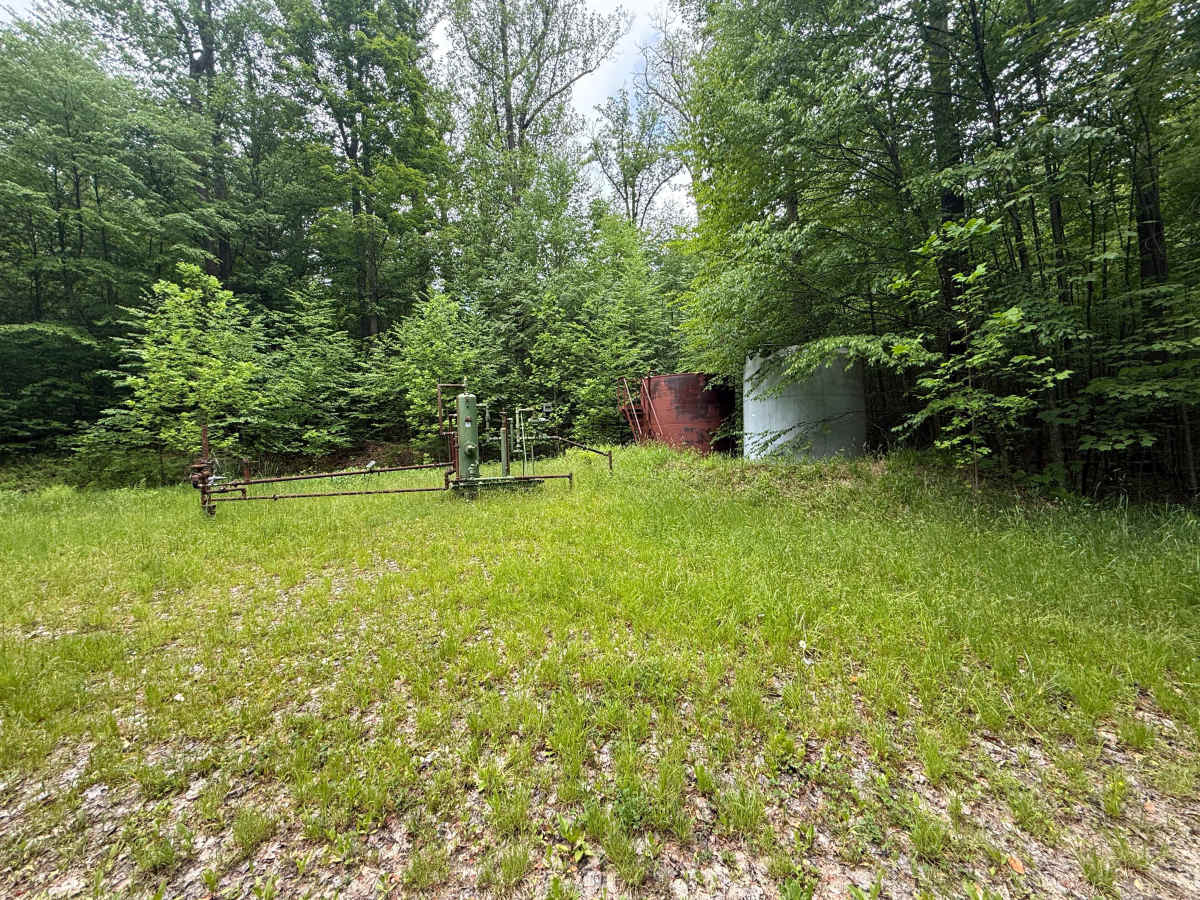 FS 330 photo 6