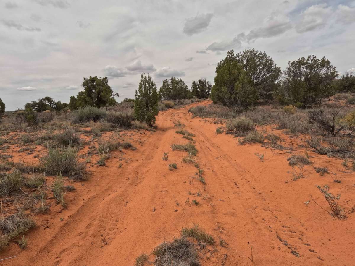 BLM 61E photo 2