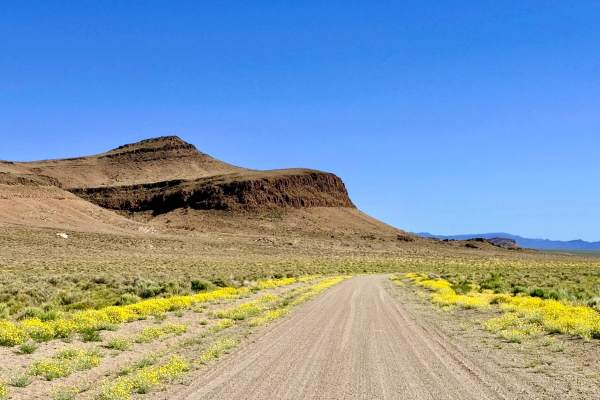 South Willow Creek Road