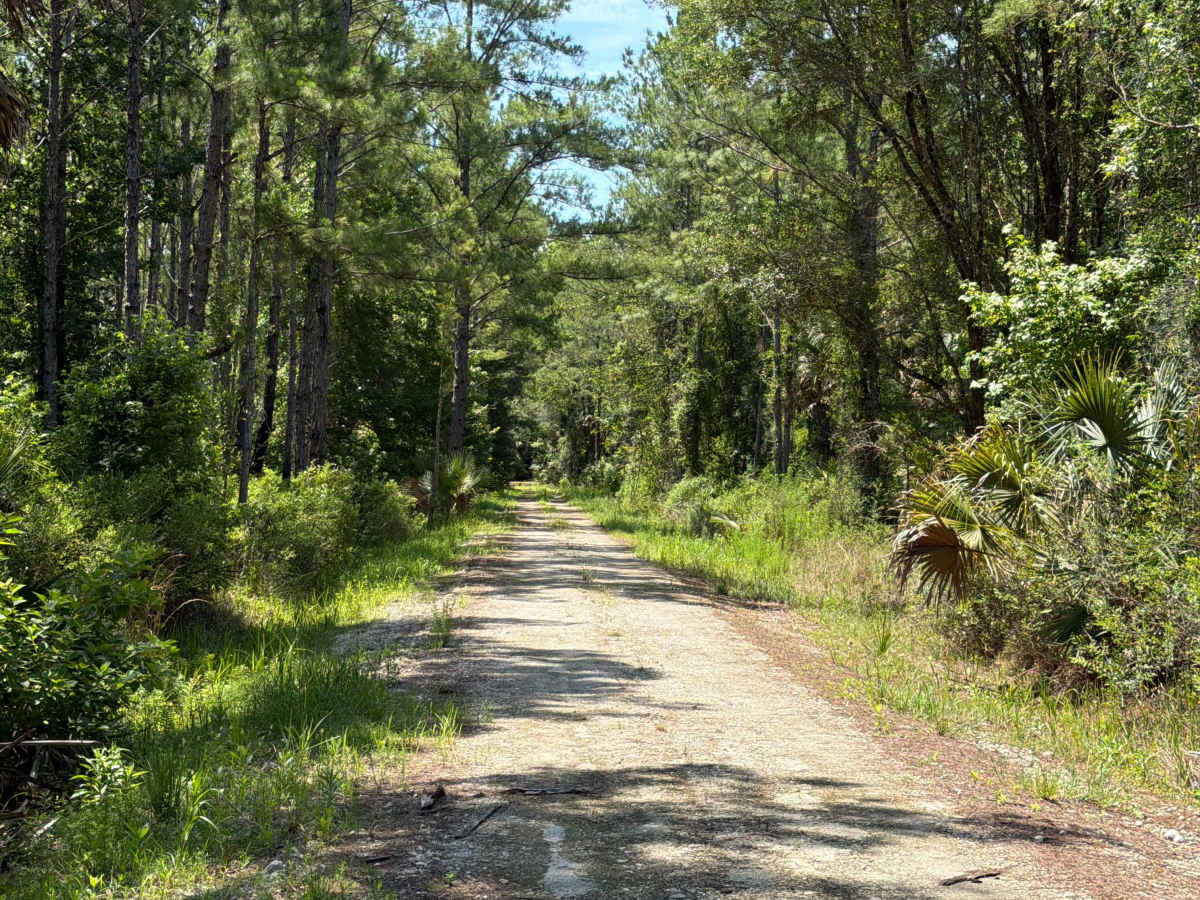 Marsh Road photo 3