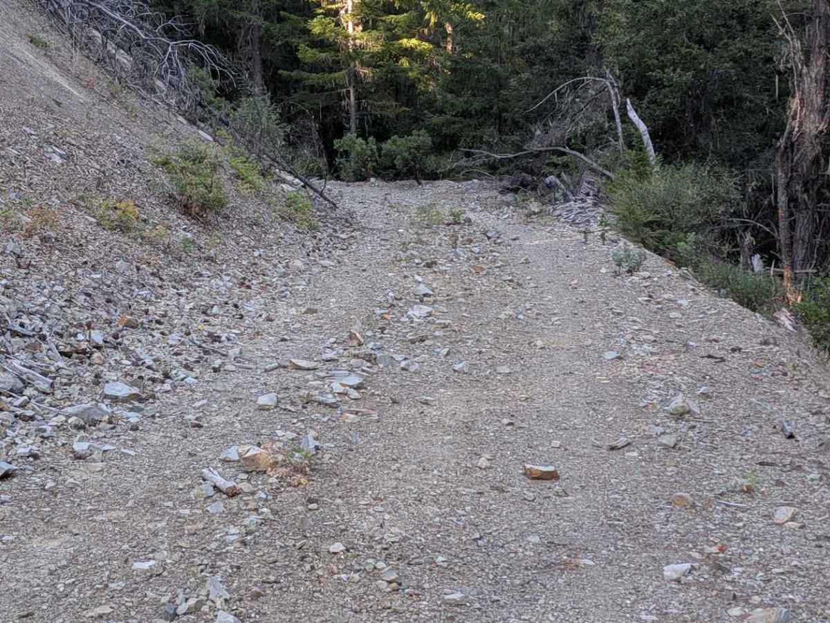 Creek Road - FS 29N57  photo 4