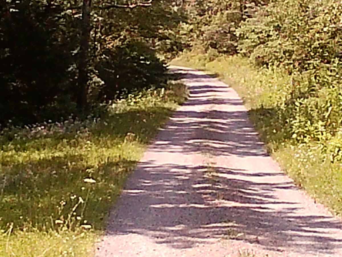 Pine Creek Hollow Road photo 6