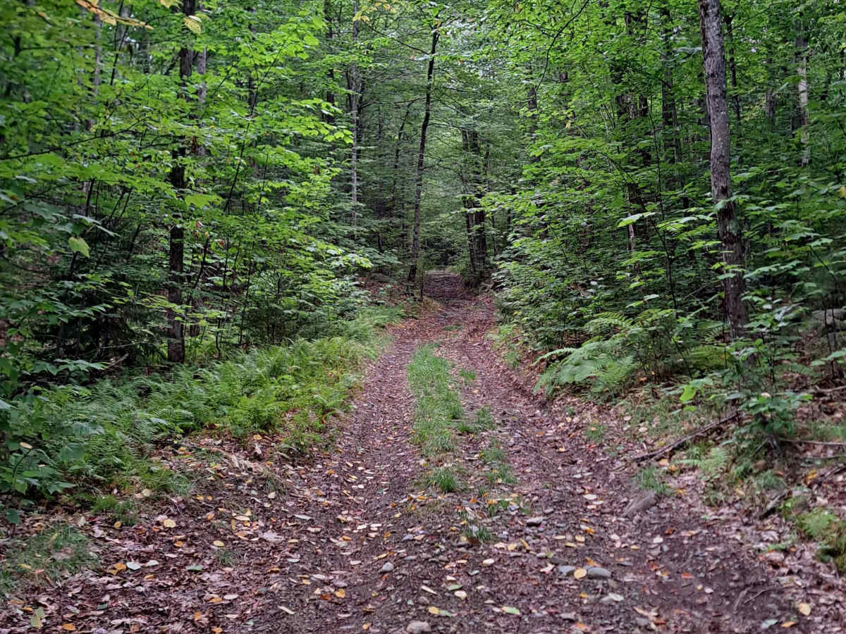 Grantham Mountain Road photo 4