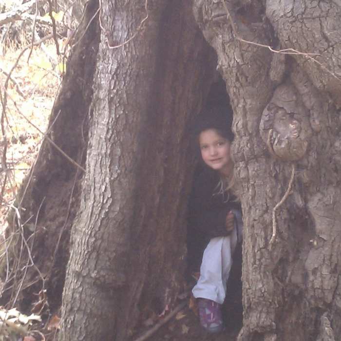 Near Bottoms Creek Gorge