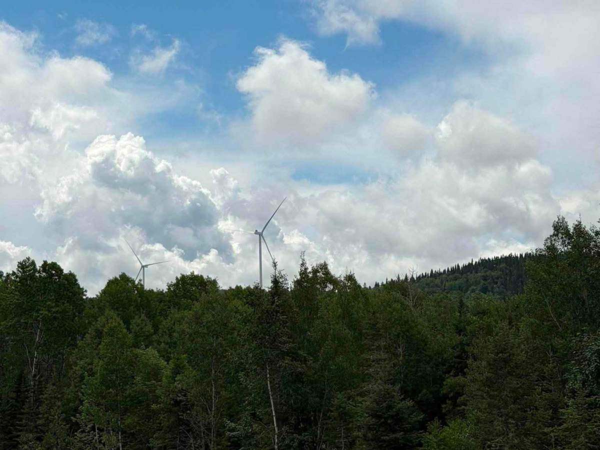 Chemin Des Sept Camps photo 4