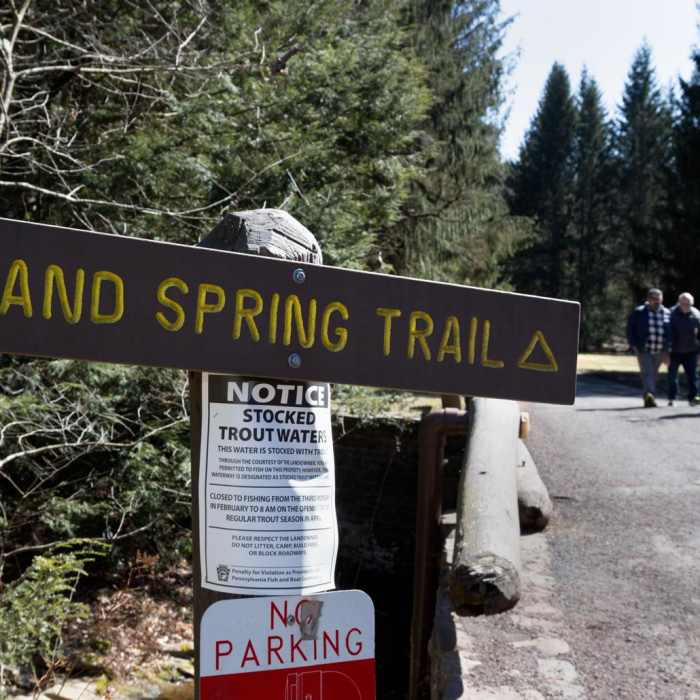 Near Sand Spring Trail