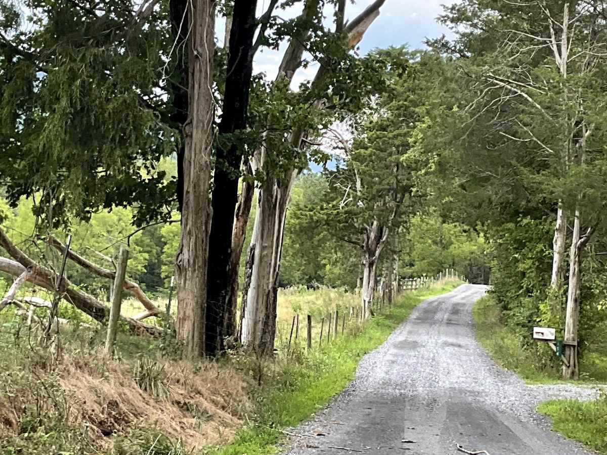 Little Dry Hollow photo 3