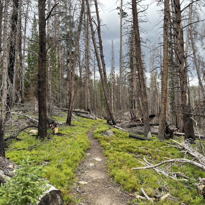 Near Mummy Pass Trail
