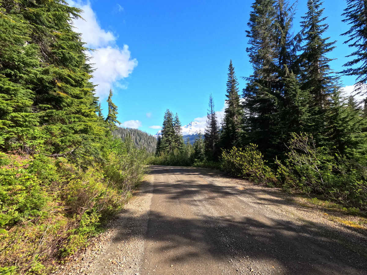 Blue Lake - FS 1230 photo 4
