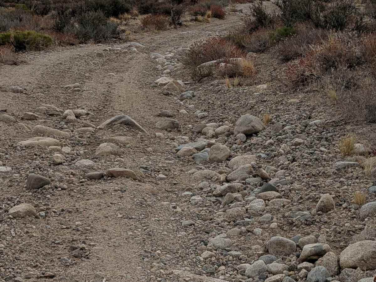 Pine Creek Mine Valley trail photo
