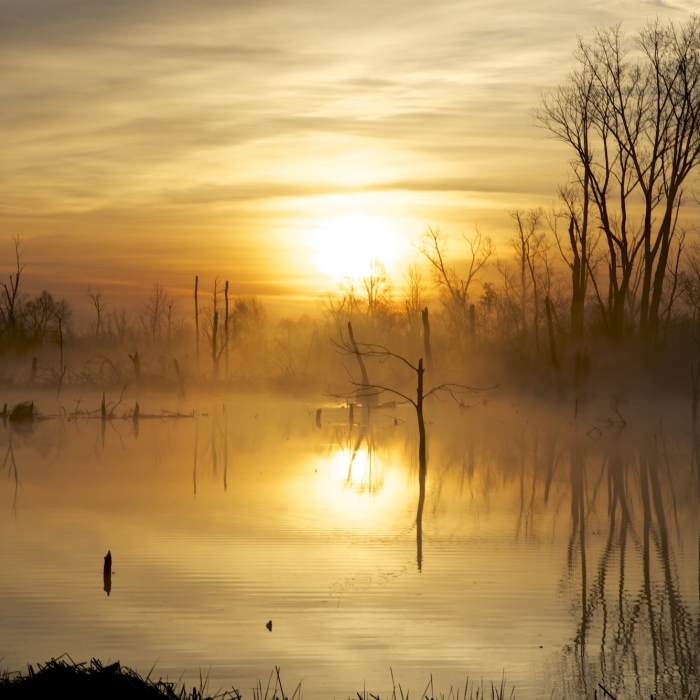 Sunrise on the Great Marsh. Near Great Marsh Trail