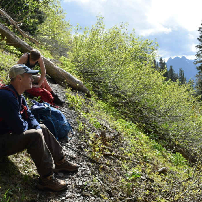 Ridge near old slide area. Near Wagonwheel Lake Trail