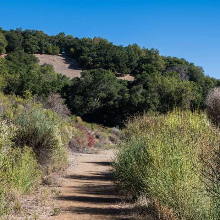 Near Quicksilver History Loop