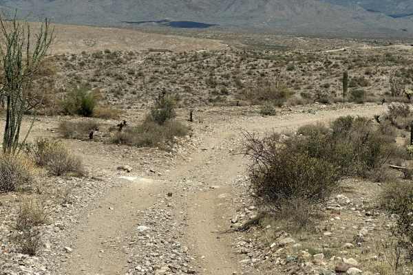 AR-LO Trail