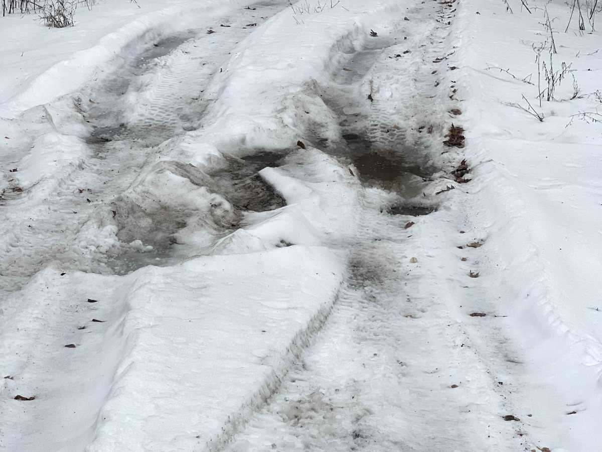 Oak Ridge Trail photo 3
