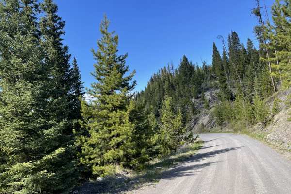 Greenstone Mtn Lookout to Tunkwa Lake Rd