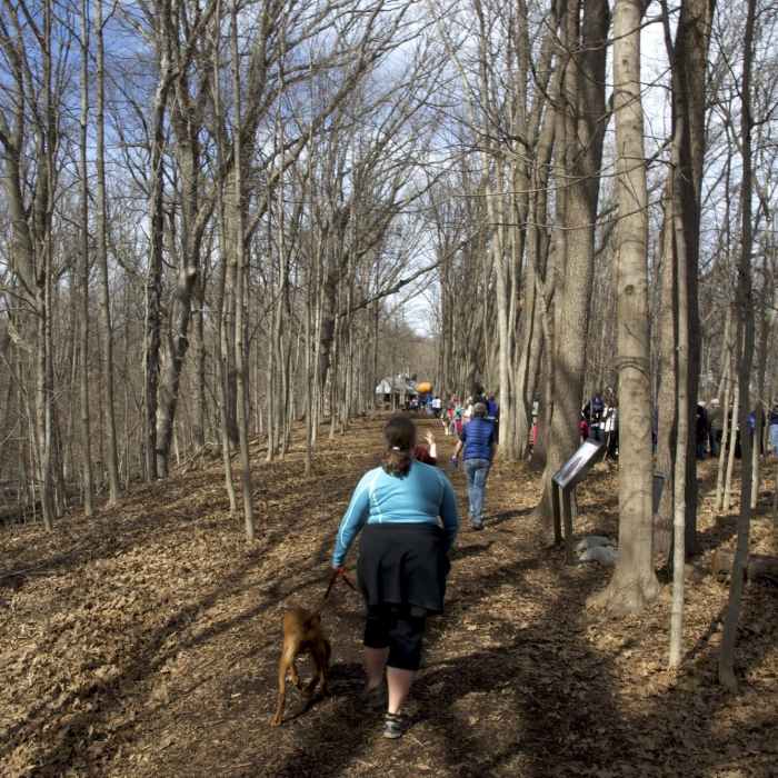 Near Bailly Chellberg - Little Calumet Loop