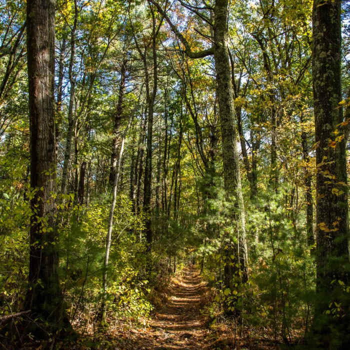 Near Two Rod Road and Davis Corridor Near Two Rod Road and Davis Corridor
