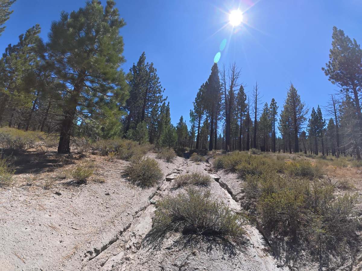FS 1S149C trail photo
