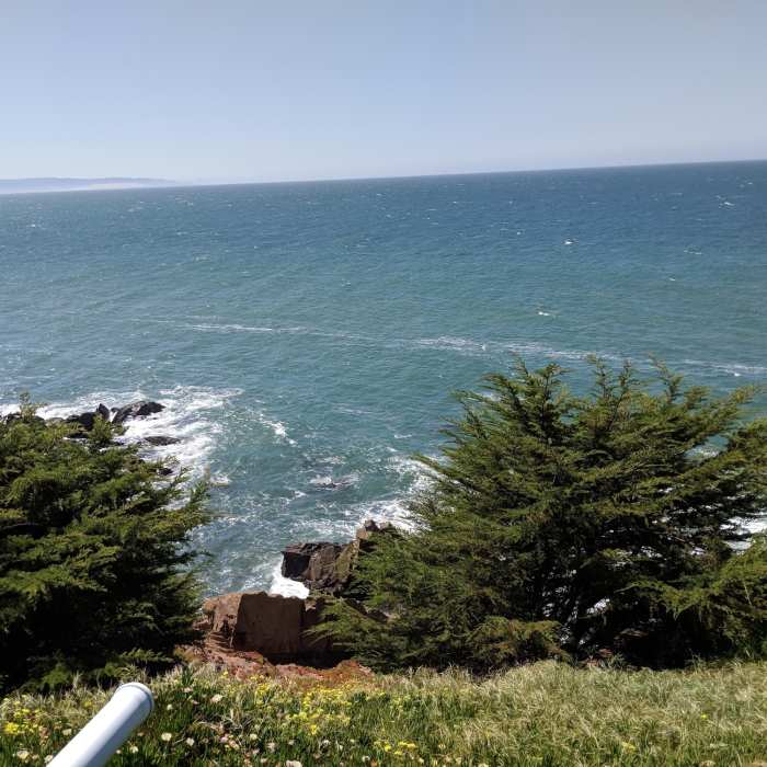 Near Pecho Coast Trail