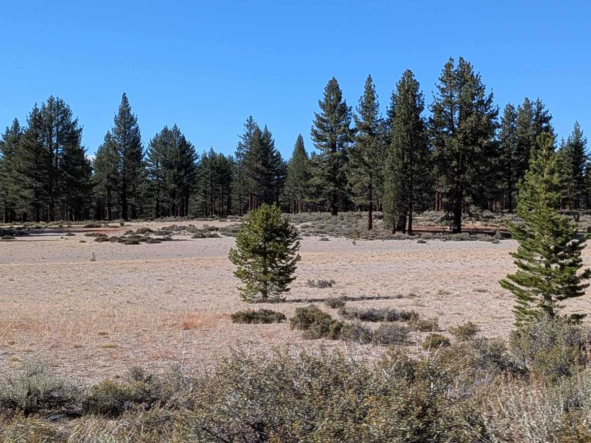 Sand Flat Cutoff photo 4