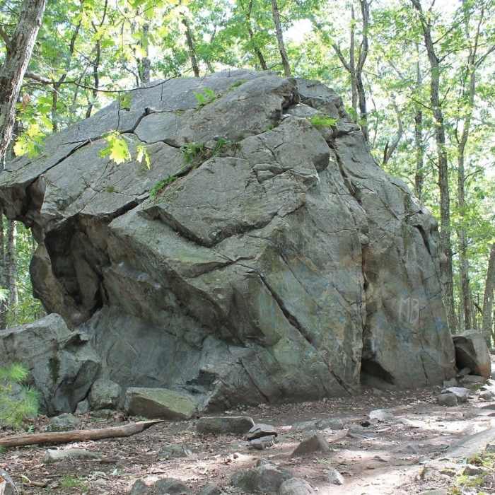 Hard to miss landmark in Harold Parker. Near Brackett Pond Loop