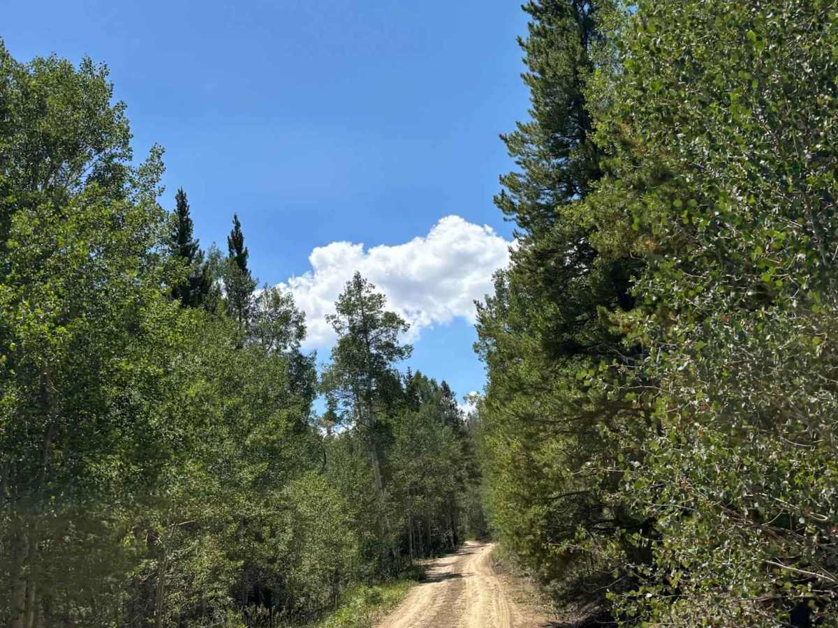 Bureau of Land Management Route 2760 photo 4