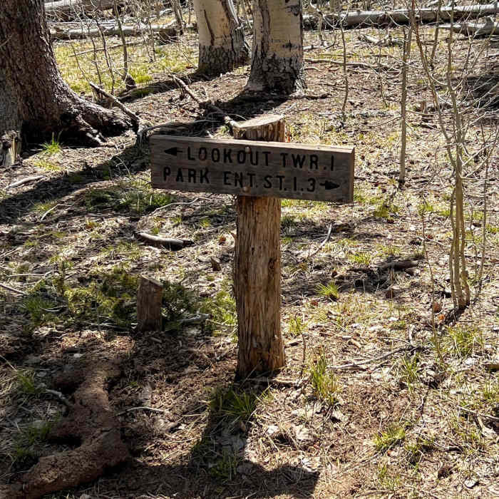 Near North Rim Lookout and Back